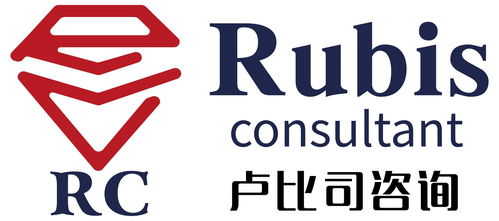 上海盧比司企業管理咨詢 專業賦能企業成長，解鎖管理新高度